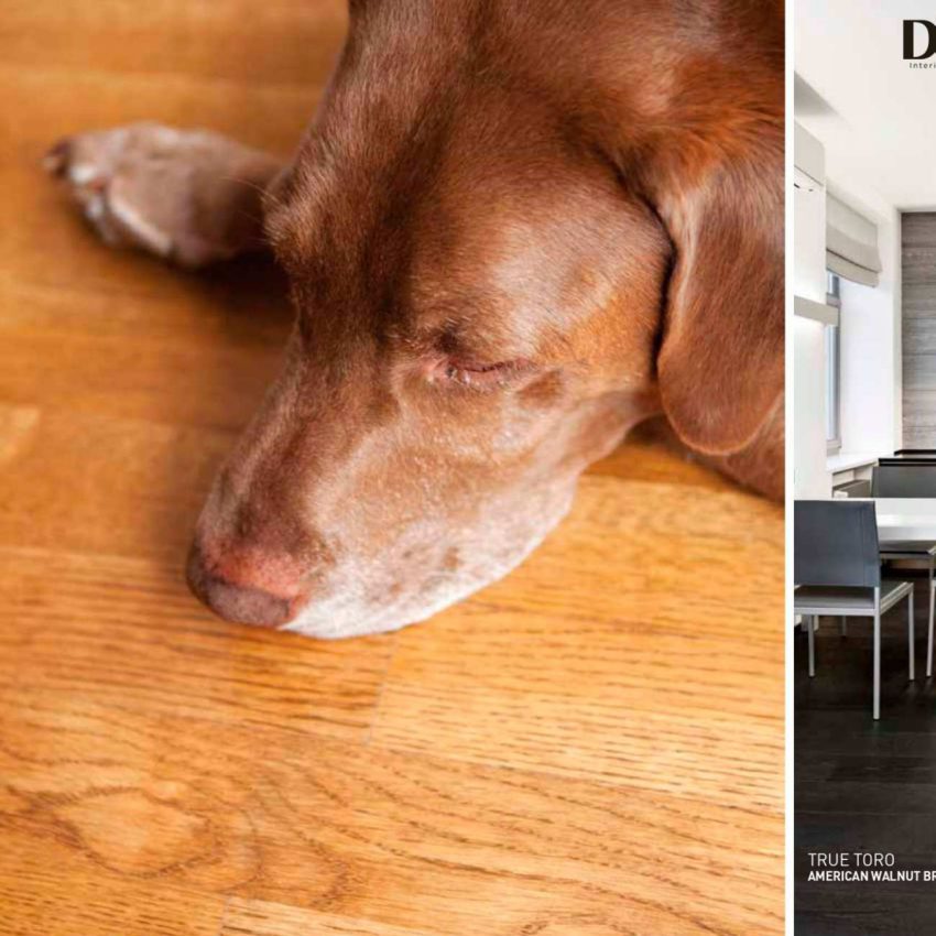 DCora catalalogo.2} (1)_page-0078