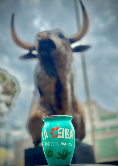 WhatsApp Image 2025-03-13 at 3.12.43 PM