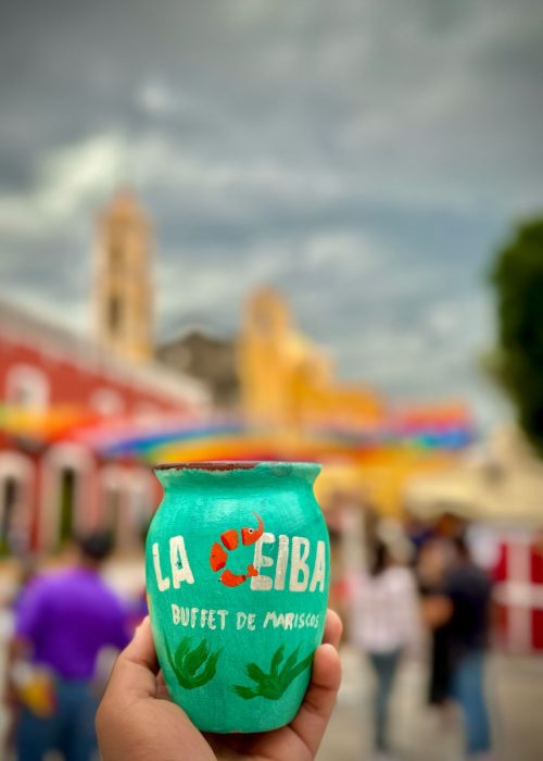 WhatsApp Image 2025-03-13 at 3.12.45 PM