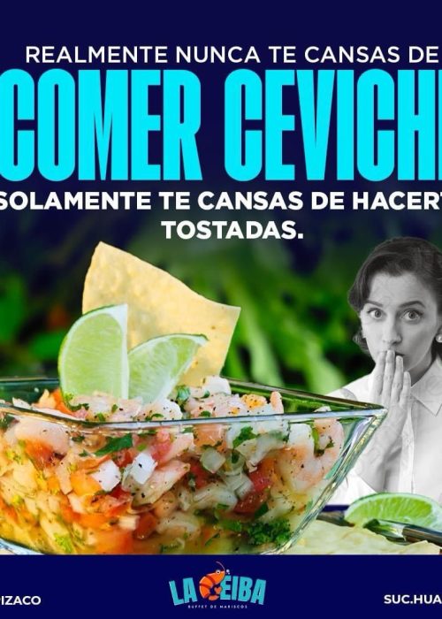 WhatsApp Image 2025-03-13 at 3.12.46 PM