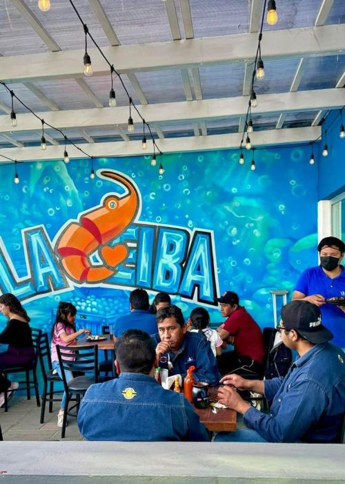 WhatsApp Image 2025-03-13 at 3.12.48 PM