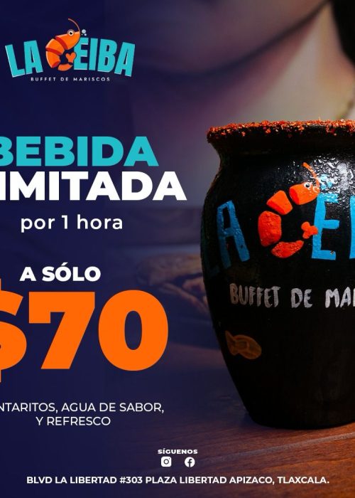 WhatsApp Image 2025-03-13 at 3.12.55 PM