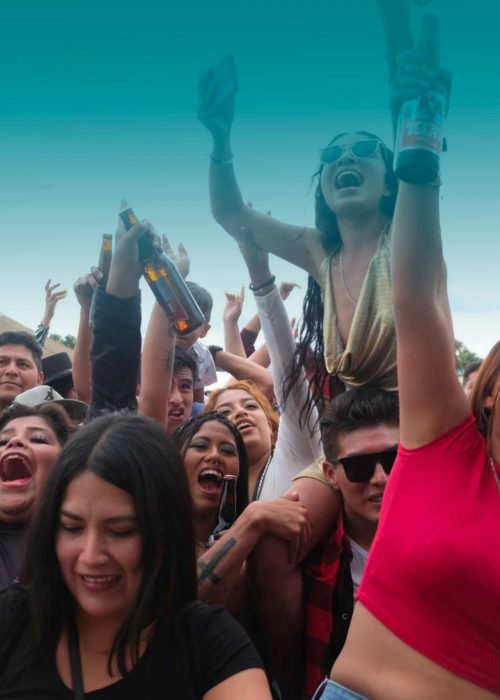 WhatsApp Image 2025-03-14 at 3.52.56 AM (1)