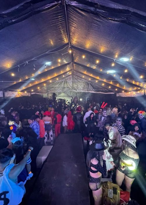 WhatsApp Image 2025-03-14 at 3.59.55 AM (1)