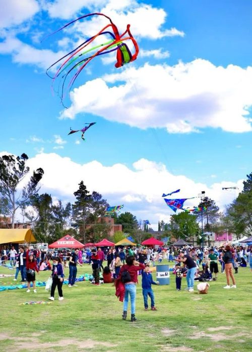 WhatsApp Image 2025-03-14 at 4.35.04 AM