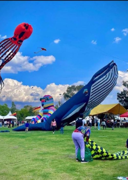 WhatsApp Image 2025-03-14 at 4.36.50 AM (1)