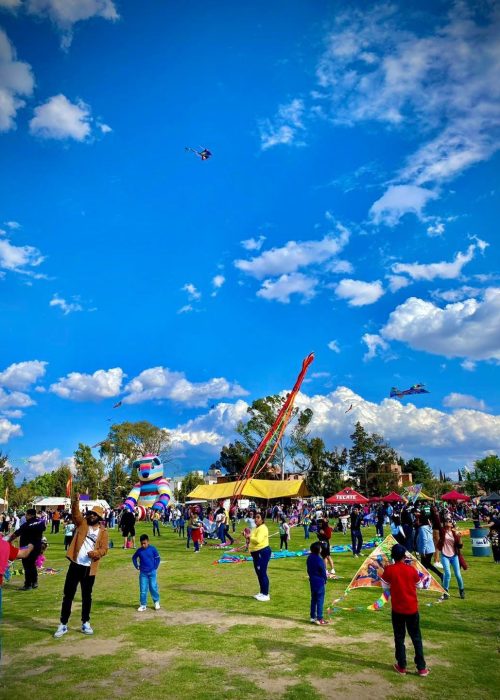 WhatsApp Image 2025-03-14 at 4.36.51 AM