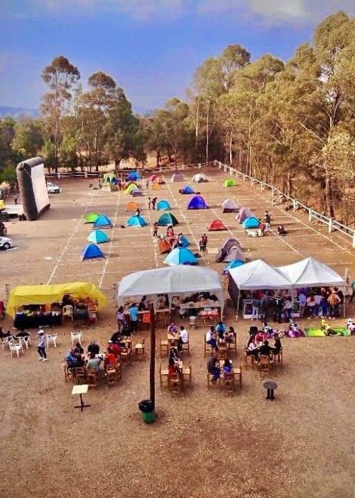 WhatsApp Image 2025-03-14 at 4.48.16 AM